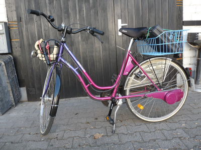 Electra mit 2. Akkusatz im Gepäckträger
Electra mit 2. Akkusatz im Gepäckträger
