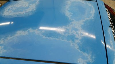 neuer Anzug 29
der Grund  der Maßnahme : "Lackkrebs"
