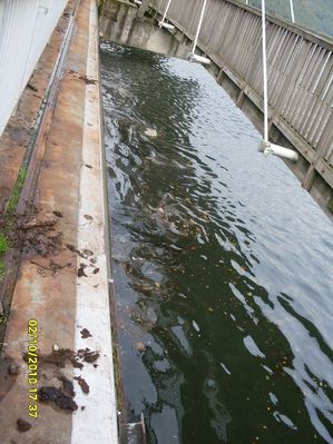 Pumpbetrieb
Wasser kann doch bergauf fließen, mussten wir feststellen
